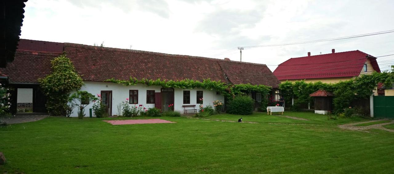Casa Rudi & Ella Hotel Saliste  Exterior photo